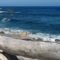 la Playa del del Rabo