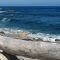 la Playa del del Rabo