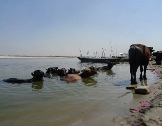 de la lluvia y las cosas que no me importan, otro Post Data